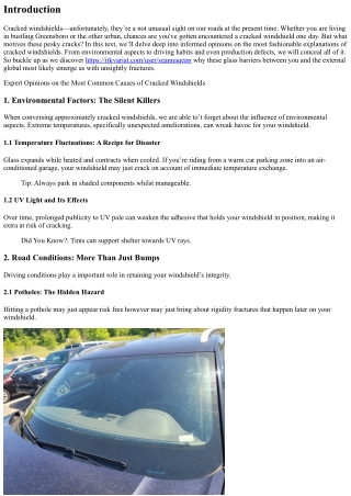 Expert Opinions on the Most Common Causes of Cracked Windshields