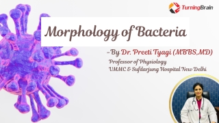 Bacterial Morphology