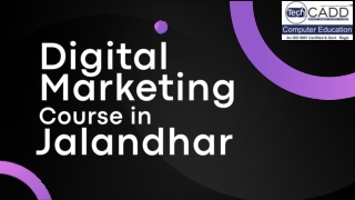 Best Digital Marketing Course in Jalandhar