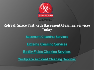 Refresh Space Fast with Basement Cleaning Services Today