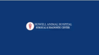 Urgent Pet Surgical Care You Can Trust in Monmouth County, NJ
