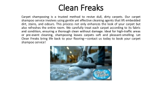 Clean Freaks