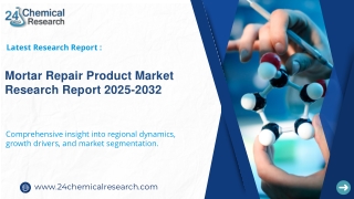 Mortar Repair Product Market Research Report 2025-2032