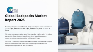 Backpacks Market Report 2025