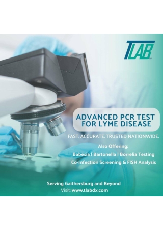 Advanced PCR Test for Lyme Disease