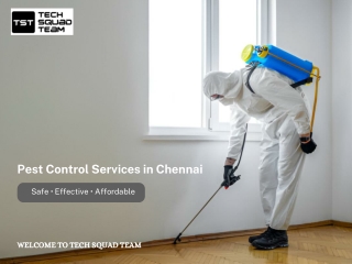 Best Pest Control Services in Chennai – Safe, Effective & Affordable