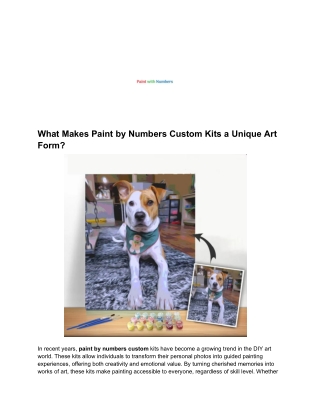 what makes paint by numbers custom kits a unique