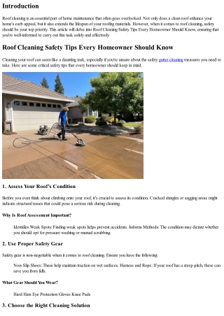 Roof Cleaning Safety Tips Every Homeowner Should Know