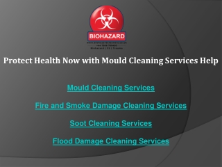 Protect Health Now with Mould Cleaning Services Help