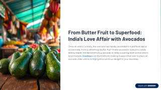Avocado-online-buy-avocado-frootree-calicut