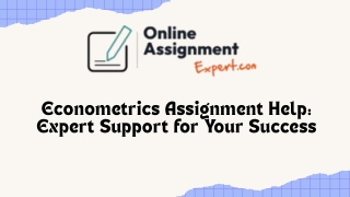 Professional Econometrics Assignment Help for Accurate Results