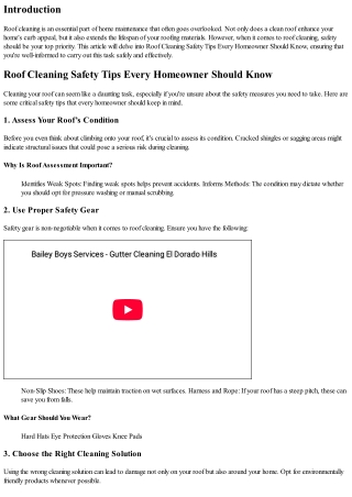 Roof Cleaning Safety Tips Every Homeowner Should Know