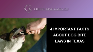 4 Important Facts About Dog Bite Laws in Texas