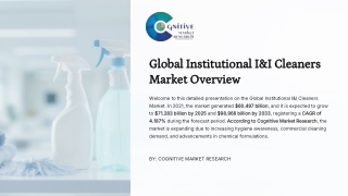Global Institutional IandI Cleaners Market Report 2025 And Its Size, Share and ForecastOverview