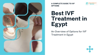 IVF in Egypt | World Fertility Services