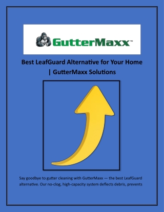 Best LeafGuard Alternative for Your Home | GutterMaxx Solutions
