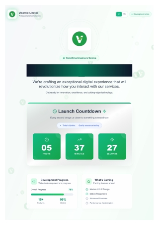 Visernic | Web, App & Marketing Experts