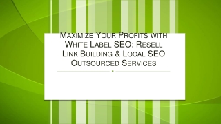 Maximize Your Profits with White Label SEO Resell Link Building & Local SEO Outsourced Services