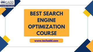 Best Search Engine Optimization Course in Jalandhar