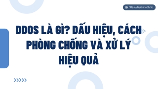 DDoS là gì? Dấu hiệu, cách phòng chống và xử lý hiệu quả