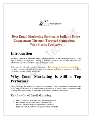 Best Email Marketing Services in India to Drive Engagement Through Targeted Campaigns—Wish Geeks Techserve