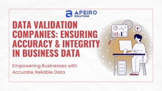 data validation companies ensuring accuracy
