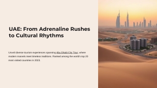 Abu Dhabi City Tour