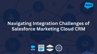 Navigating Integration Challenges of Salesforce Marketing Cloud CRM