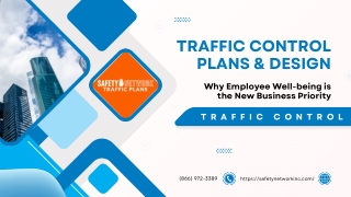 httpssafetynetworkinc.com