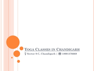Best Yoga Classes in Chandigarh | Bodyzone Yoga Studio