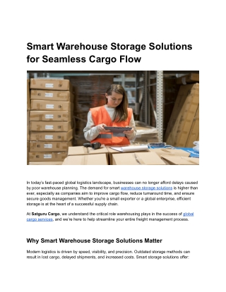 Smart Warehouse Storage Solutions for Seamless Cargo Flow