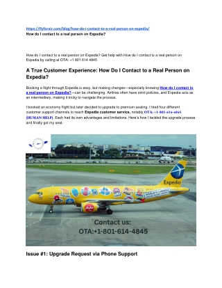 How do I contact to a real person on Expedia