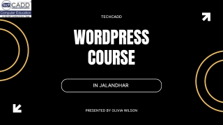 Best WordPress Course in Jalandhar