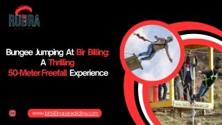Bungee Jumping At Bir Billing A Thrilling 50-Meter Freefall Experience