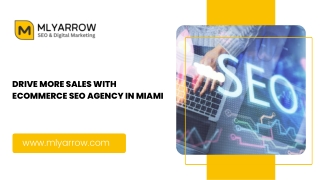 Drive More Sales with Ecommerce SEO Agency in Miami