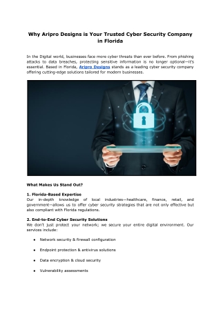 Trusted Cyber Security Company in Florida | Aripro Designs