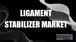Ligament Stabilizer Market