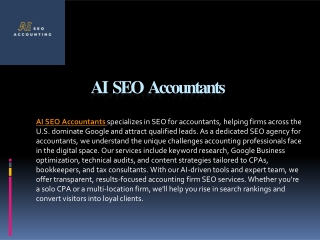AI SEO Accountants