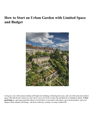 How to Start an Urban Garden with Limited Space and Budget
