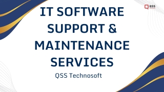 it software support maintenance services