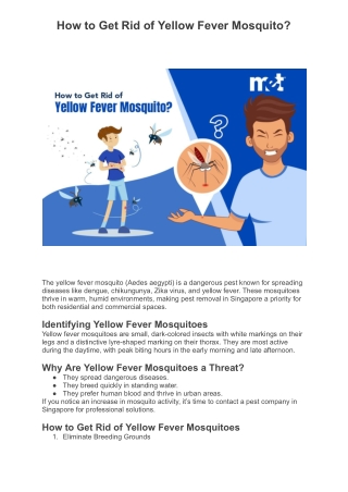 How to Get Rid of Yellow Fever Mosquito?
