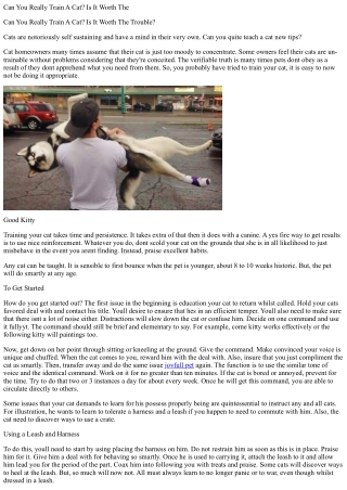 can you really train a cat is it worth the