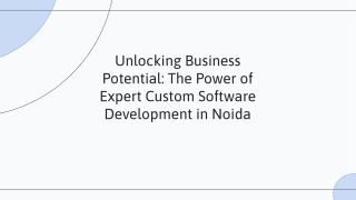 Unlock Business Potential with Expert Custom Software Development in Noida