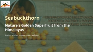 seabuckthorn nature s golden superfruit from