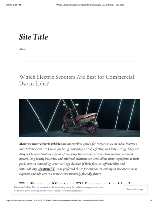 which-electric-scooters-are-best-for-commercial-use-in-india