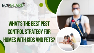 What’s the Best Pest Control Strategy for Homes with Kids and Pets?