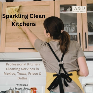 Kitchen Cleaning Services in Mexico, Texas, Frisco & Dallas