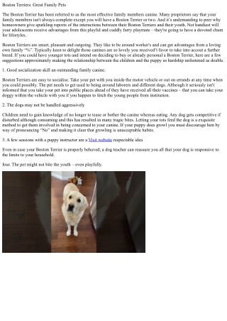Boston terriers great family members pets