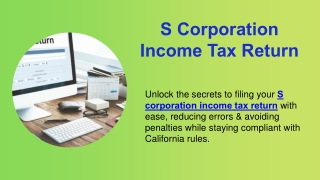 S Corporation Income Tax Return
