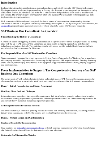 From Implementation to Support: The Comprehensive Journey of an SAP Business One